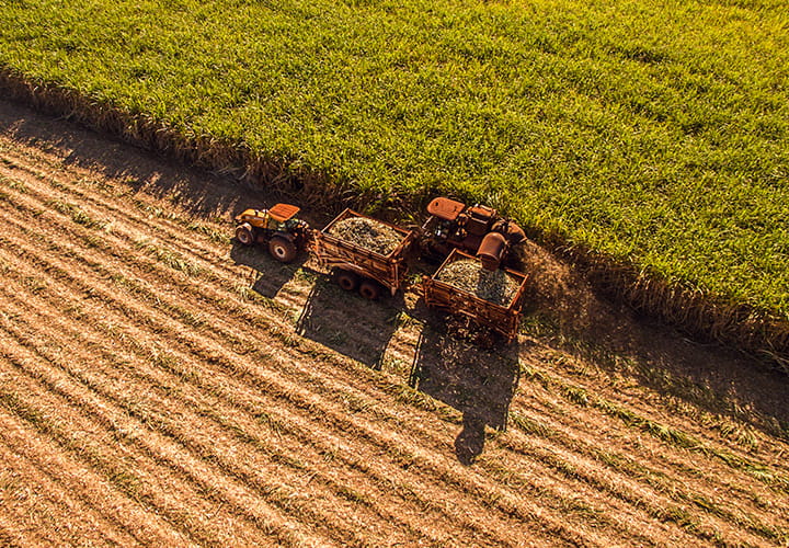 甘蔗收割机轮胎 | 特瑞堡轮胎