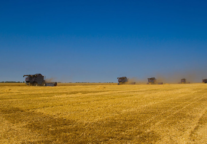 其他收获设备轮胎 | 特瑞堡轮胎