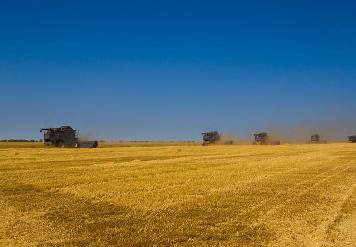 其他收获设备轮胎 | 特瑞堡轮胎